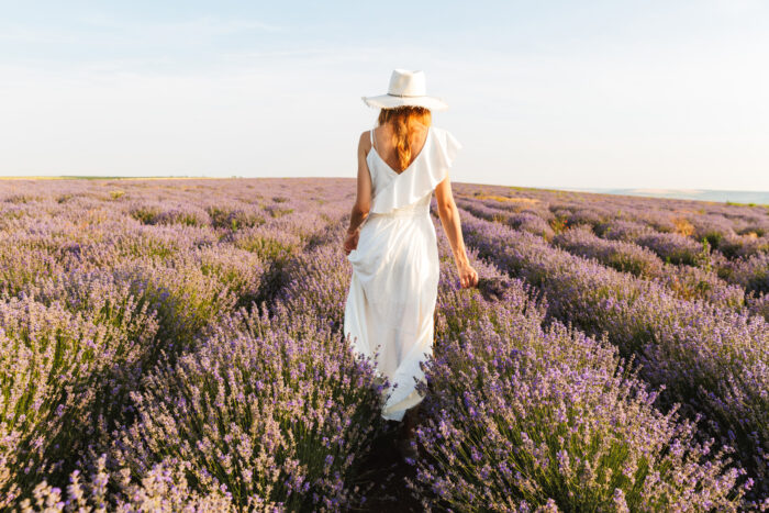 woman in white dress shown walking form behind through a field of lavendar